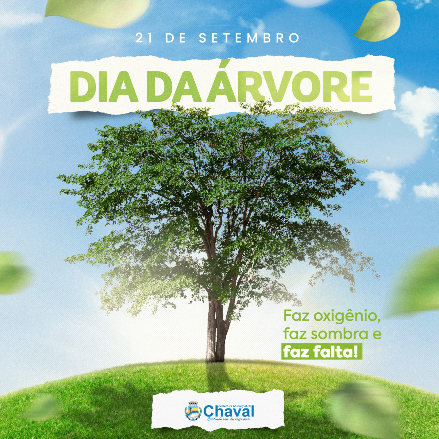 O “Dia da Árvore” no Brasil é comemorado dia 21 de setembro ...